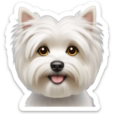 White older morkie dog sticker