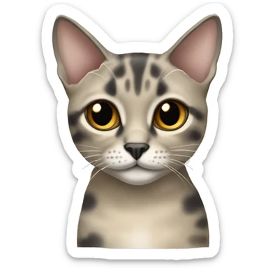 beige and grey dilute tortie cat sticker