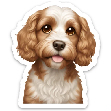 cavoodle dog with brown spots around eyes sticker