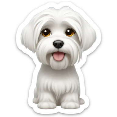 a male Maltese sticker