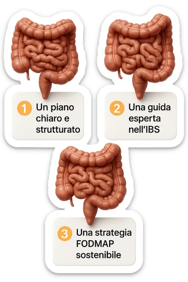 emoji stile iphone di 3 targhette numerate con intestino realistico davanti ad ogni targhetta, le targhette sono:
"1 – Un piano chiaro e strutturato
2 – Una guida esperta nell’IBS
3 – Una strategia FODMAP sostenibile"
, iperrealistico 4k sticker