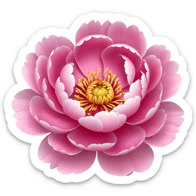 Peony  sticker