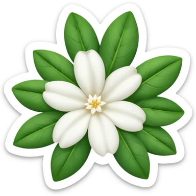 Syrian jasmine flower with delicate white petals and green leaves, elegant sticker