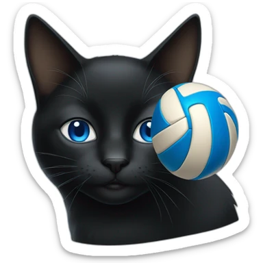 a black cat with blue eyes and a volleyball sticker