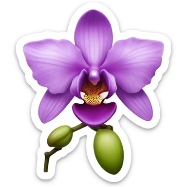 orchid sticker