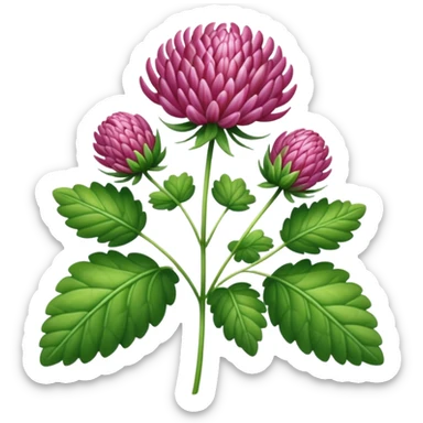 A vivid red clover with intricate details, thriving under the summer sun sticker