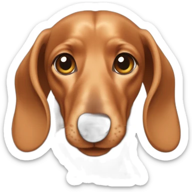 A fawn colored dachshund with gigantic ears sticker