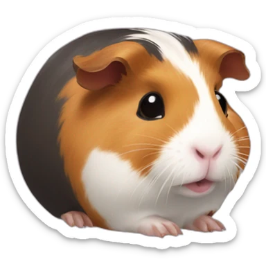 Guinea pig with chilipepper sticker