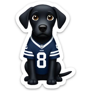 black labrador with dallas cowboys jersey sticker