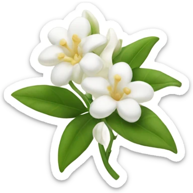 Jasmine bunch sticker