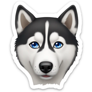 Husky with one blue eye and one brown eye  sticker