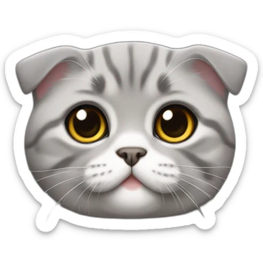 Scottish Fold gray Tommy hilfiger sticker