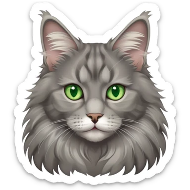 gray maine coon cat with green eyes sticker