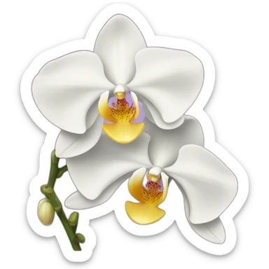 Orchid sticker