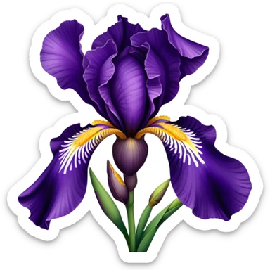  purple Iris flower sticker