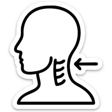 anatomical neck illustration with part of the head and a clear arrow pointing to the neck, clean and simple medical style, minimalist line art icon sticker