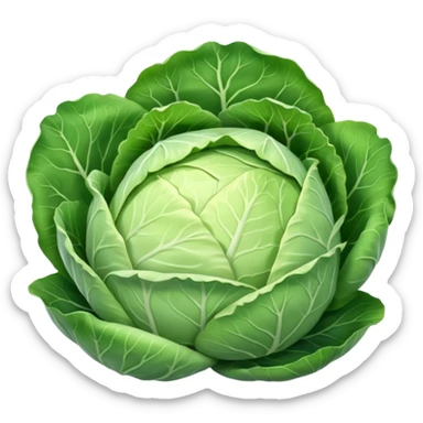 a whole cabbage, round and firm, smooth pale green to white leaves, tightly packed, gentle veins, natural gloss, soft lighting, emoji scale sticker