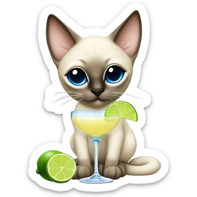 Siamese cat drinking a margarita  sticker