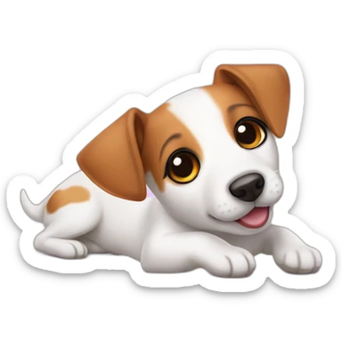 dog Jack Russell Terrier laying on her back sticker