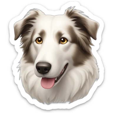 white-border-collie-dog,-no-white-patches,-with-kind-eyes-and-gentle-face sticker