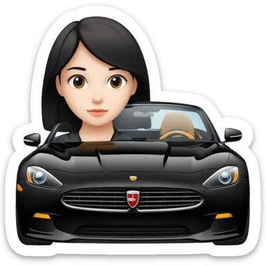 A fast, expensive black car with a young woman beside it sticker