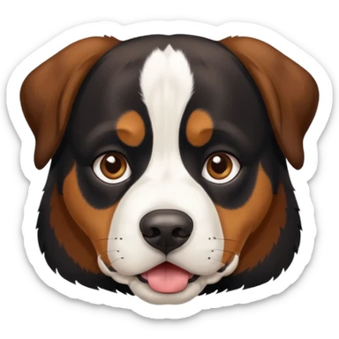  Short haired Swiss mountain dog sticker