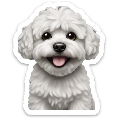 Maltipoo dog. All black in color everywhere. No other color. Extreme underbite with teeth showing  sticker