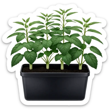 Собака породы черно-белый русский кокер спаниель в бандане Grow Street sticker