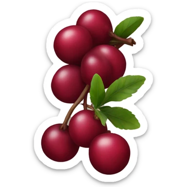 Cranberry  sticker