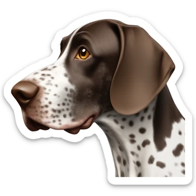 German shorthair pointer dog  sticker