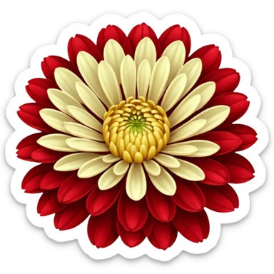 chrysanthemum flower full red sticker