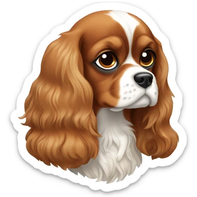 Light Brown Cavalier King Charles Spaniel with a light pink bow on sticker