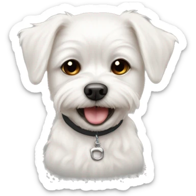 Maltese boy tiny overbite one tooth sticking out of mouth with collar that says Jake sticker