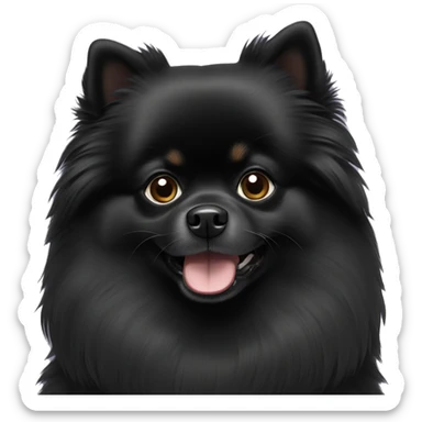 Black Pomeranian sticker