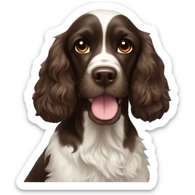 Dark brown cocker spaniel sticker