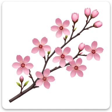 sakura branch with blossoms sticker