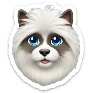 himalayan with white fur and blue eyes sticker