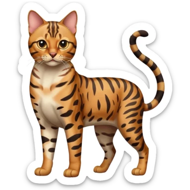 full body of bengal cat, front view sticker