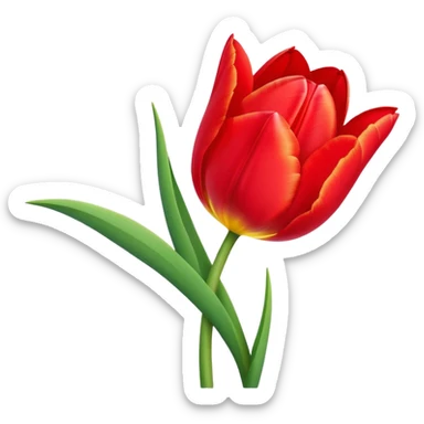 Beautiful tulip flower with vibrant petals and green stem sticker