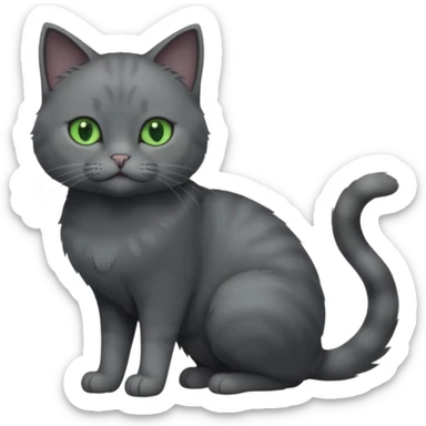 full body view of beautiful female solid dark grey cat with green eyes, grey face, white toes and white patch on chest sticker