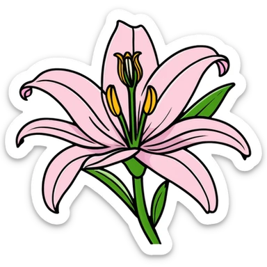 Delicate pink lily flower with soft petals and dark pink accents, decorative design sticker