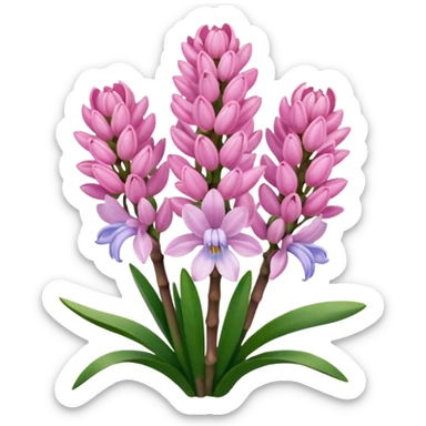 Pink hyacinth sticker