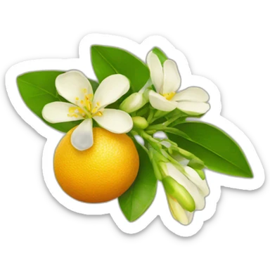 citrus flower emoji sticker