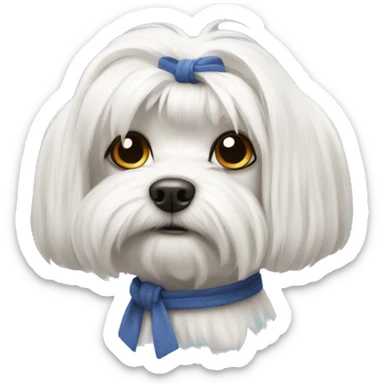 a Maltese dog with tied hair sticker