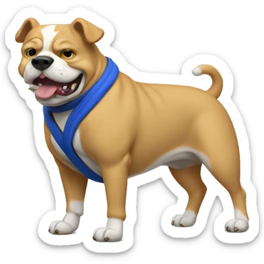 Xl bully dog doing jiu jitsu sticker
