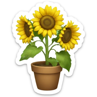 sunflowers sticker