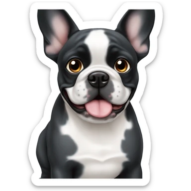 Black merle french bulldog blue eye sticker