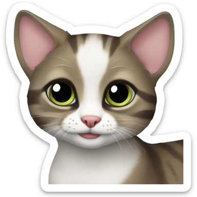 American Ringtail Cat sticker
