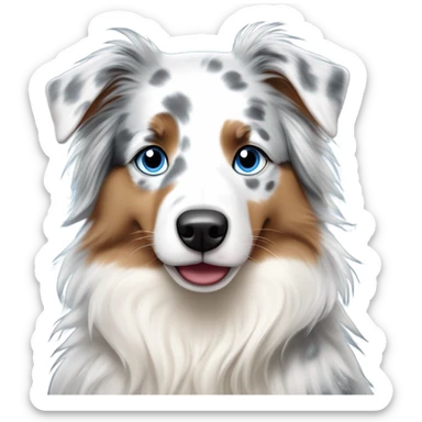 woman with blue eyes and long straight blonde hair is holding a very fluffy blue eyes, blue merle australian shepherd  sticker