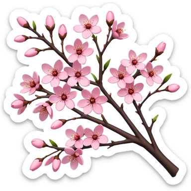 Realistic cherry blossom flowers, full bunches of flowers, on a tree, high definition, realistic branches  sticker